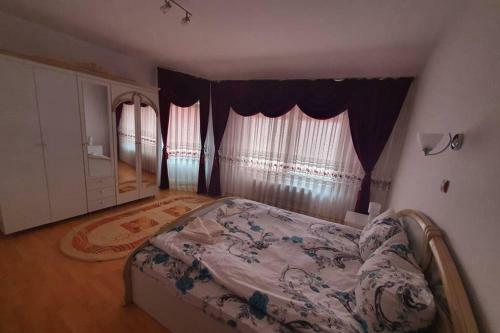 Casa Frizerului Aparthotel- Pets Allowed
