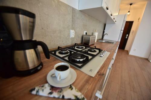 Feel Like Home In Sibiu - Lulu Apartment