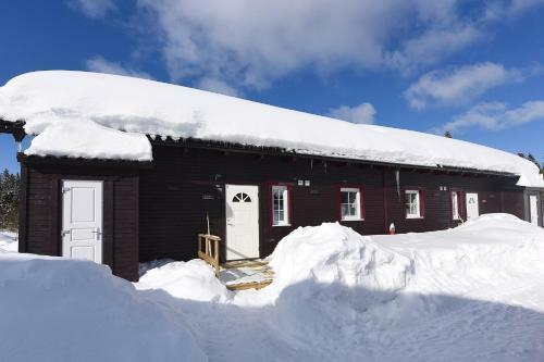 Nice Holiday Apartment In With Sauna