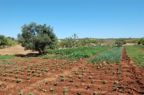 Agroturismo Quinta Do Maranh�o