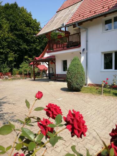 Hostal Pensiunea Maria