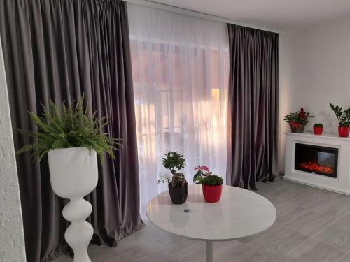 Bed & Breakfast Casa Sannicolau