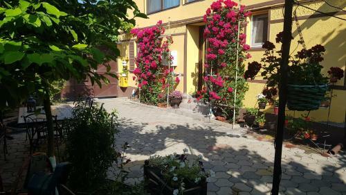 Apartamento Emm House - Relax & Fresh Air From Brasov