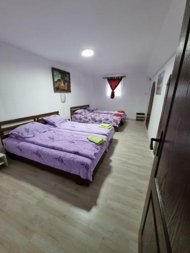 Hostal Pensiunea Amalia