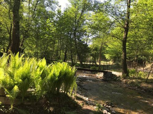 Lodge Pensiunea Valea Tonii