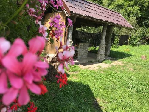 Lodge Pensiunea Valea Tonii
