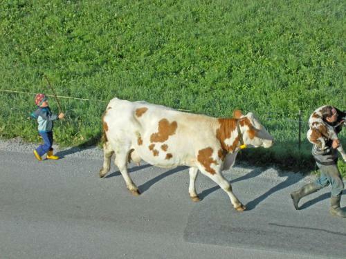 Agroturismo Bauernhof Trinkergut