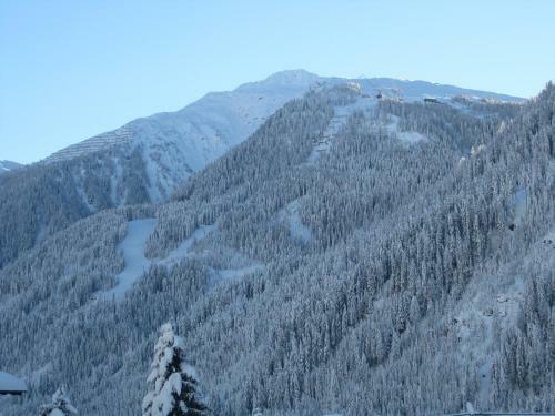 Bed & Breakfast Gaestehaus Berger