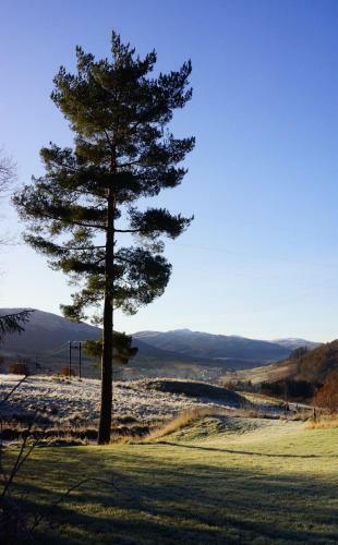 Woodland Spruce Lodge