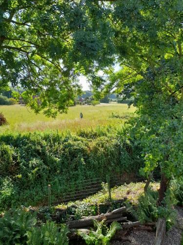 Bed & Breakfast Three Gables In Kirklington