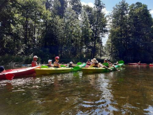 Domek Nad Krutyni?