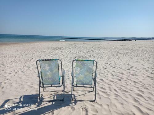Apartament Cappello
