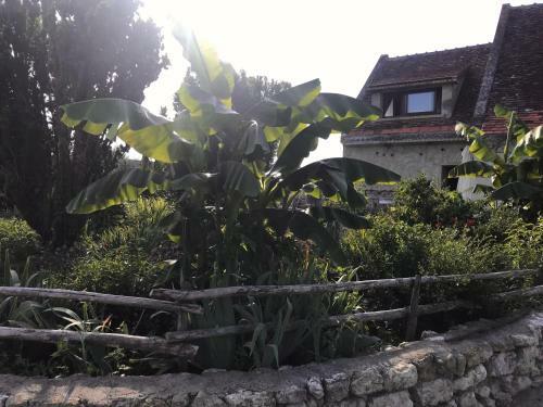 Bed & Breakfast Chez Gustave & Compagnie