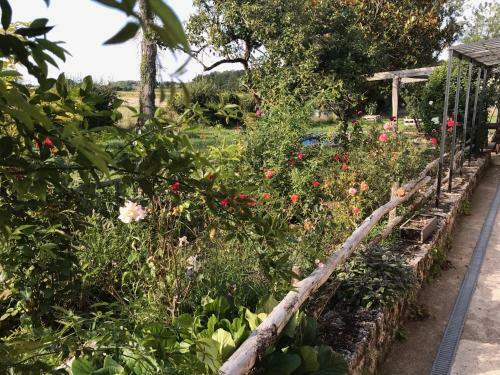 Bed & Breakfast Chez Gustave & Compagnie