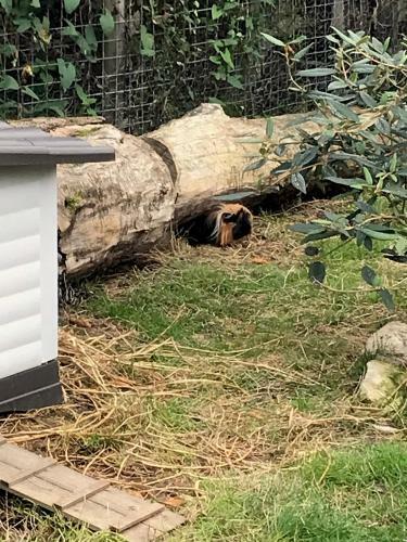 Bed & Breakfast Chez Gustave & Compagnie