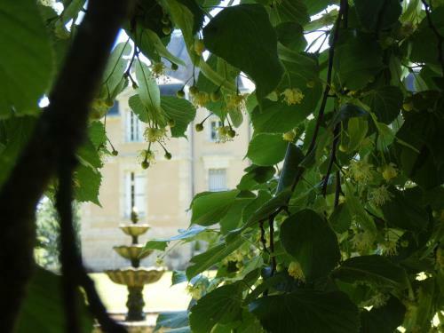 Hotel Ch�teau Marith - Etablissement Climatis� Avec Piscine