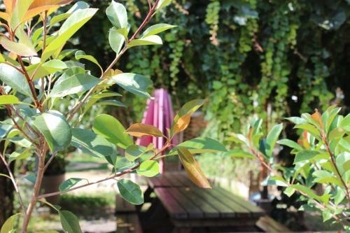 Agr�able Ferme R�nov� Le Gray