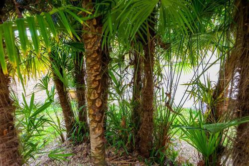Apartamento Le Cordon Bleu # Vieux-cognac # Jardin