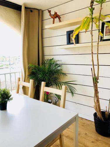 Apartamento Home