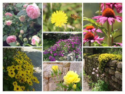 Bed & Breakfast A L'ombre Du Tilleul