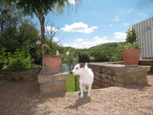 Bed & Breakfast La Sa�noise