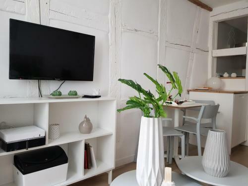 Apartamentos Studio Maison Verte Colmar Centre