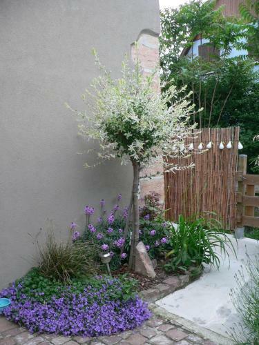 Apartamentos Le G�te Du Moulin