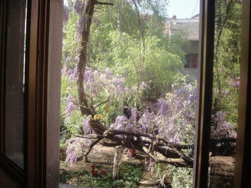 Apartamento Le Jardin Des Remparts