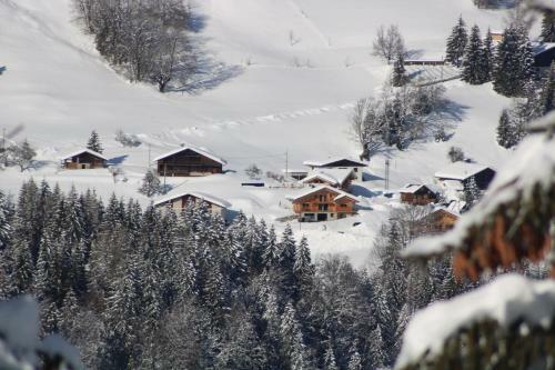 Hotel Le Mont Bisanne