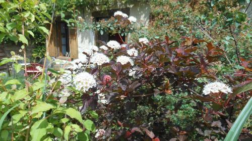 Bed & Breakfast Domaine De Sault