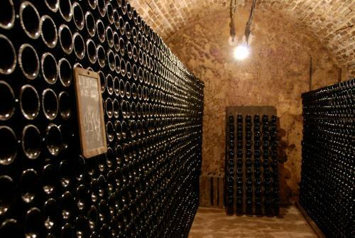 G�te Enjoy En Champagne Avec Verger