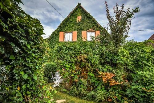 ? Au Murmure De L'eau Au Coeur De L'alsace ?