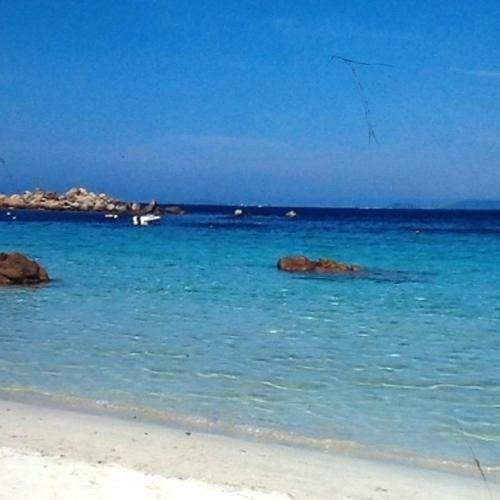 Apartamento Charmant Appartement 2 Pi�ces