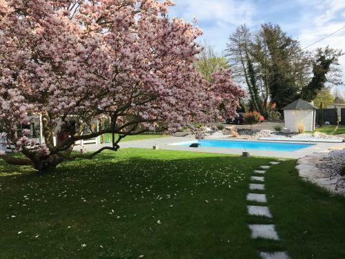 Aparthotel Les Rives Des Habsbourg