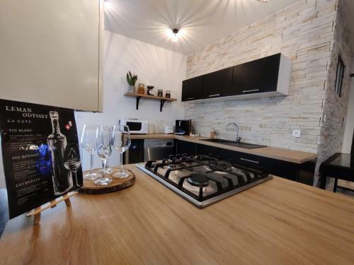 Apartamentos Appartement Hyper Centre Evian - Leman Odyssey