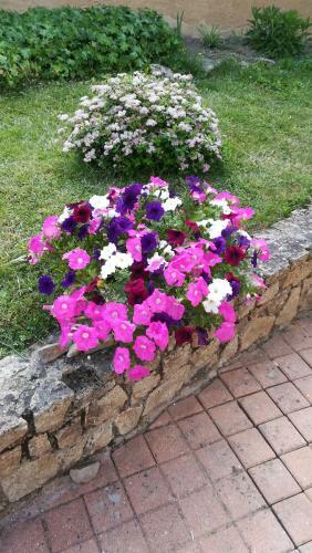 Bed & Breakfast Chambres Des Noels