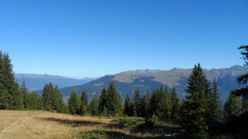 Apartamento Alpes Studio