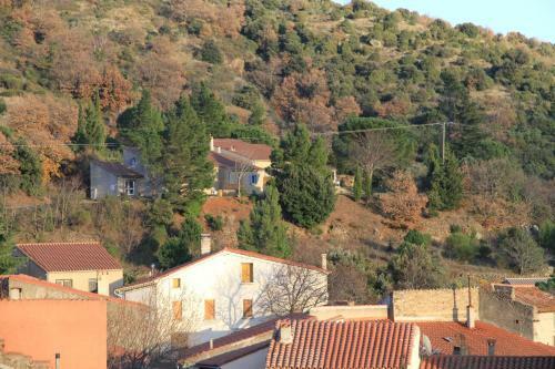 Gites-terroirs-occitanie Grenache