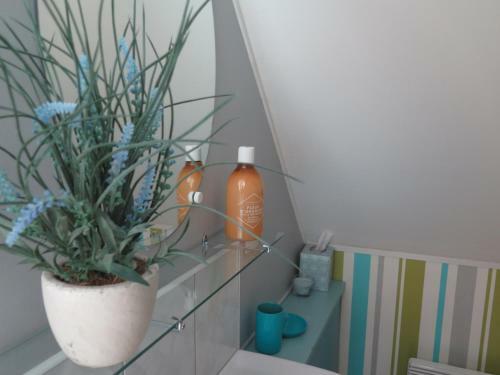 La Grenouillere G�te 3 Chambres