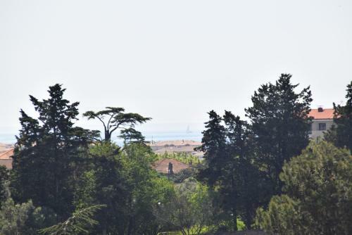 Apartamento Le Lagon Bleu - Fr�jus