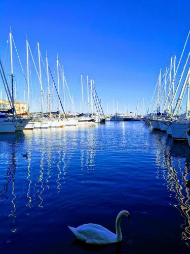 Joli Voilier De 6m Pour Exp�rience Insolite