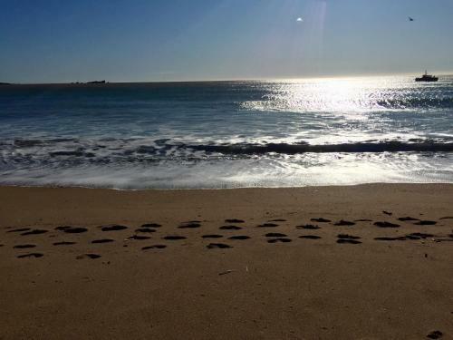 Apartamento Appart Jl Port Fr�jus