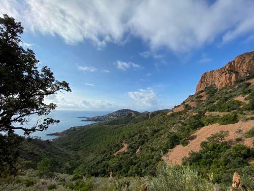 Apartamento Rev'azur