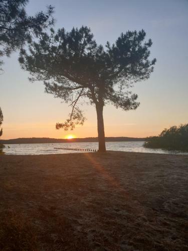 Mon Joli Mobil Home Dans Les Landes