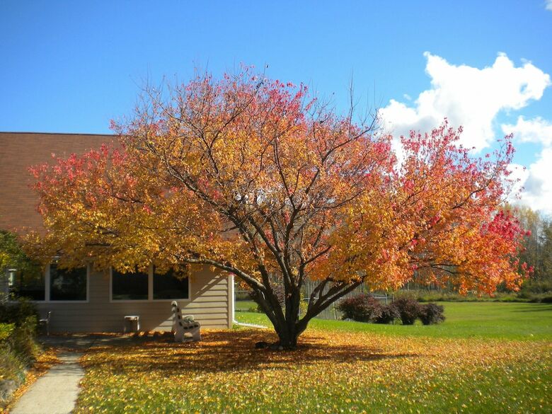 Hotel Parkwood Lodge