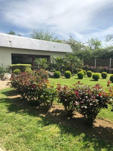 Bed & Breakfast Le Jardin Des Roses