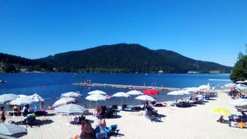 Apartamento Appartement 50m Du Lac