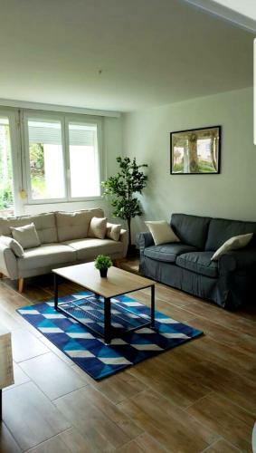 Apartamento Le Petit Vosgien