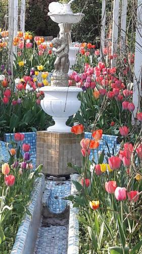 Apartamento Maison Art Et Jardin