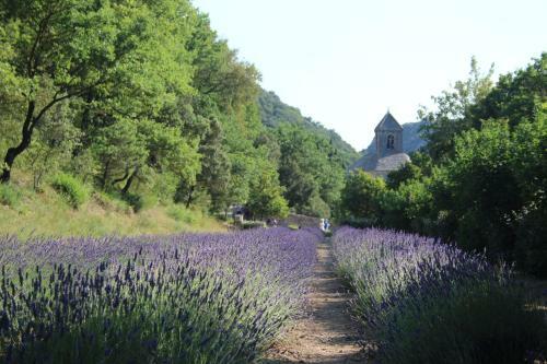 Le Mazet Du Domaine